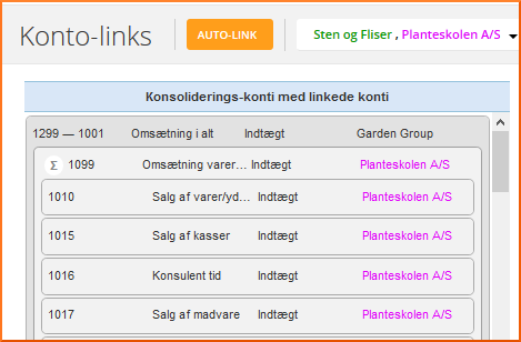 koncern budgettering